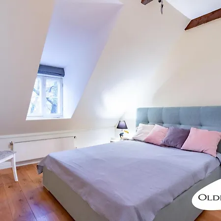 Vene 19 Heritage With Sauna Korter *