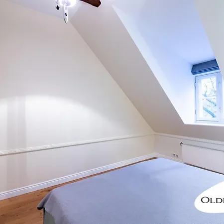 Vene 19 Heritage With Sauna Apartman