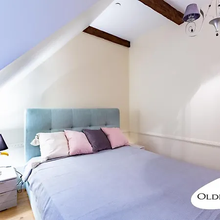 Apartament Vene 19 Heritage With Sauna Tallin