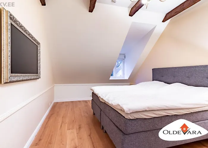 Vene 19 Heritage With Sauna Tallin