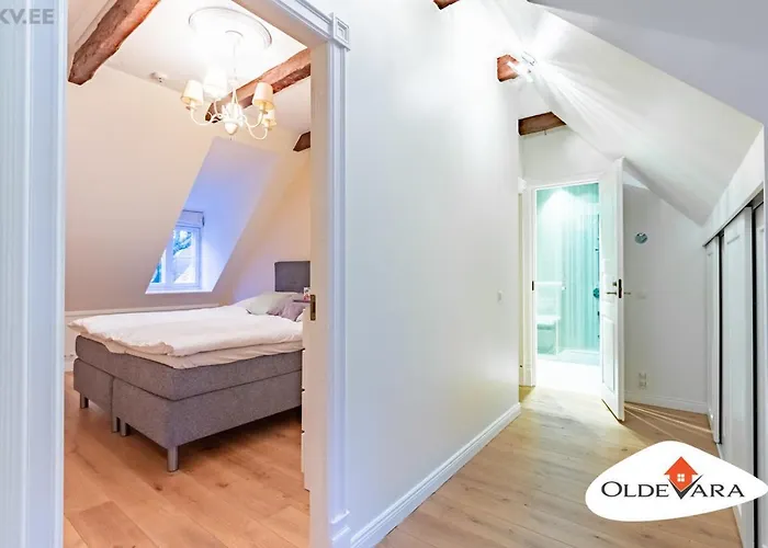 Vene 19 Heritage With Sauna Apartamento Tallin