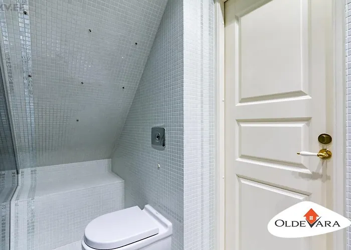 Vene 19 Heritage With Sauna *