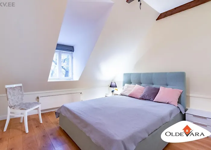 Vene 19 Heritage With Sauna Apartment *