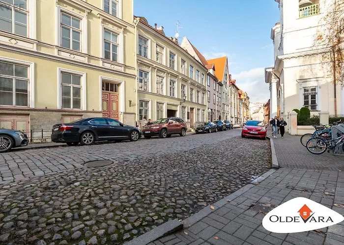 Vene 19 Heritage With Sauna Apartment Tallinn