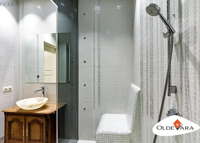 Vene 19 Heritage With Sauna * Tallinn