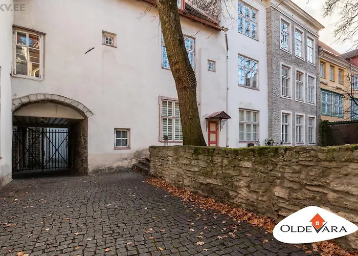 Vene 19 Heritage With Sauna