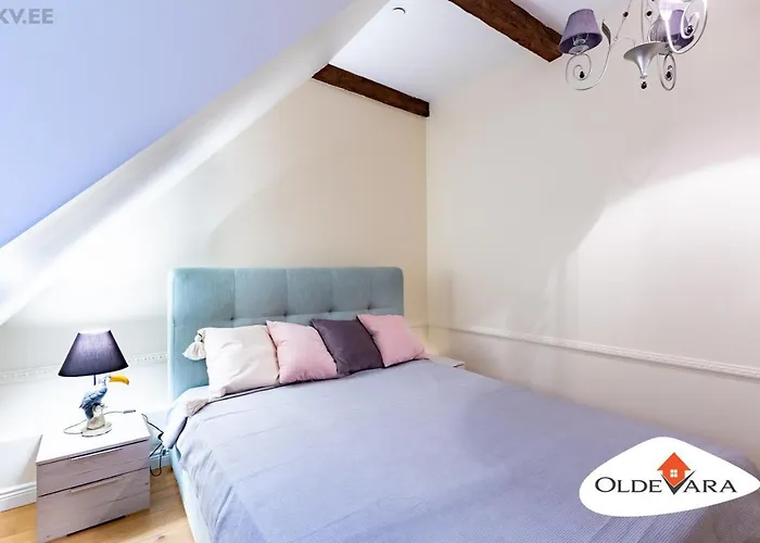 Apartman Vene 19 Heritage With Sauna Tallinn